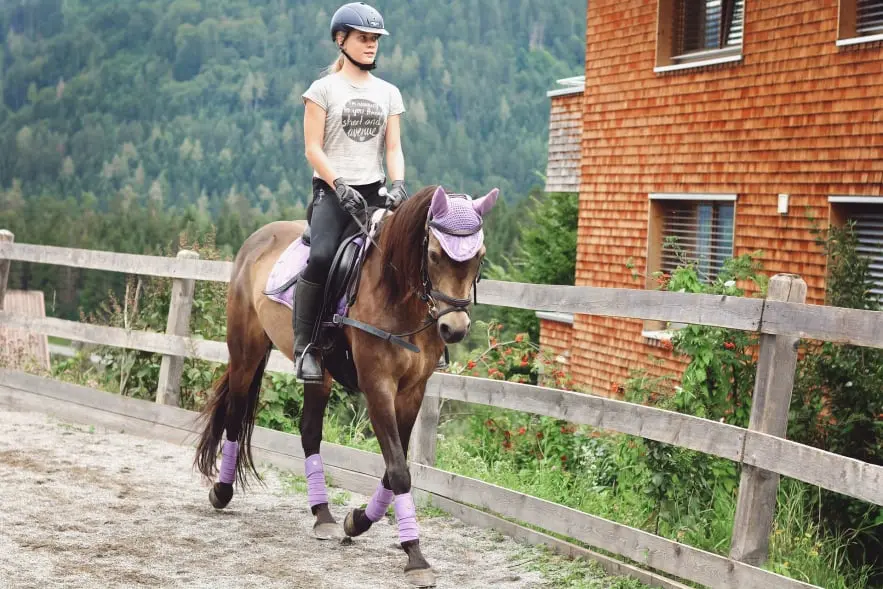 La imagenImagen de una joven montando un caballo en una pista de equitación. La jinete, con una postura elegante y controlada, demuestra habilidad y destreza mientras guiar al caballo a través del recorrido. El caballo, de pelaje brillante, muestra su agilidad y fuerza. Esta imagen resalta la belleza y la técnica del deporte ecuestre, ideal para temas relacionados con equitación, deportes ecuestres, entrenamiento de caballos y competencias de salto. muestra a dos jóvenes jugadores de fútbol en acción durante un partido. En primer plano, una jugadora con una camiseta roja, el número 0, pantalones cortos rojos y medias negras, está corriendo con el balón controlado cerca de sus pies. Su expresión muestra determinación mientras avanza.  A su lado, un jugador con una camiseta verde, pantalones cortos blancos y medias verdes, está corriendo detrás de ella, intentando alcanzarla. Su expresión también muestra concentración mientras sigue el balón.   En el fondo, se pueden ver otros jugadores que también están participando en el juego. El campo de fútbol es de césped, aunque hay algunas áreas con menos hierba, lo que indica desgaste por el uso. Detrás de los jugadores, se observa un área boscosa o con vegetación densa, lo que sugiere que el partido se está jugando en un entorno al aire libre con un fondo natural.